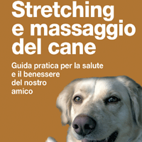 massaggio cane-G_1812701717.gif